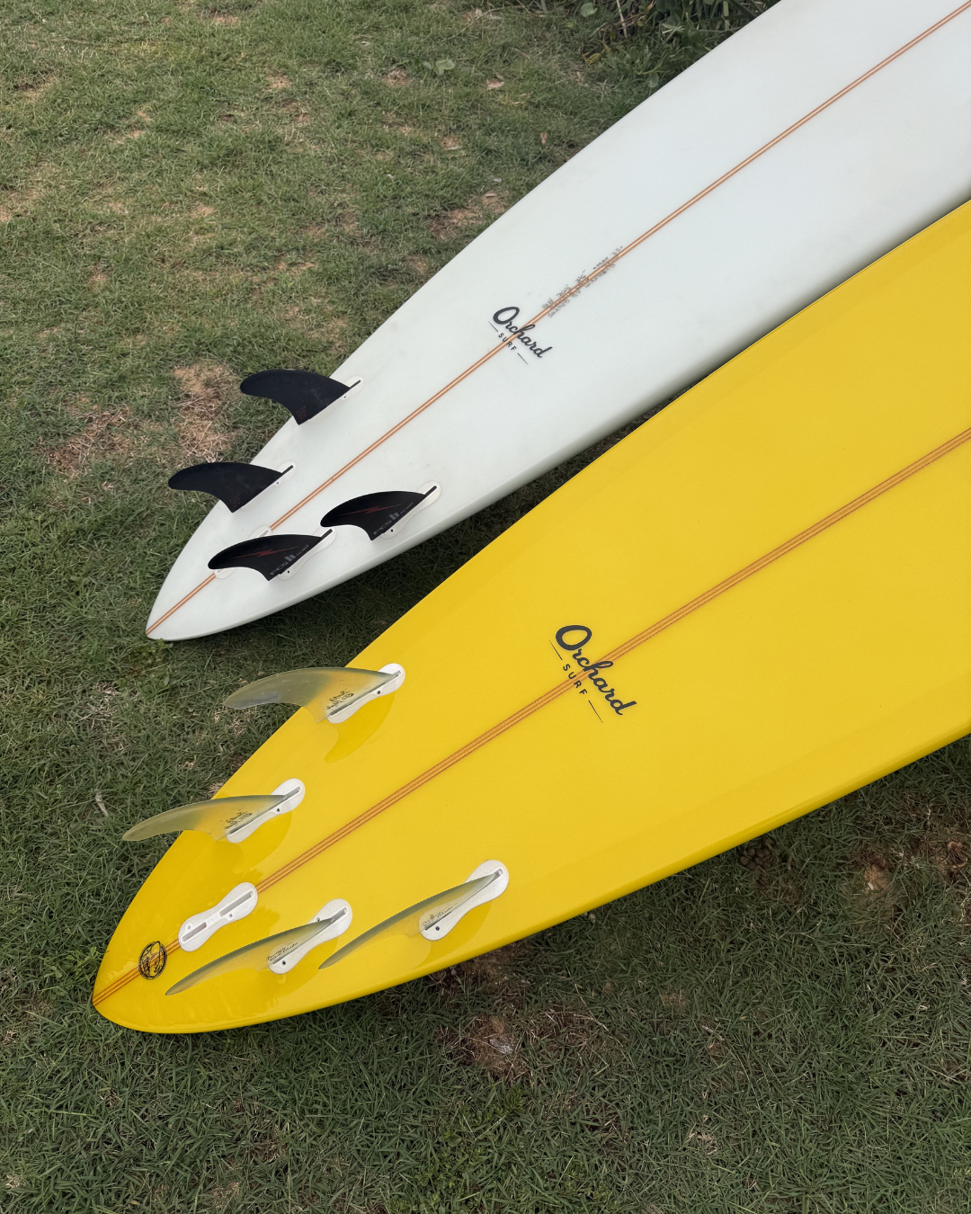 Bommie | Quad Fin