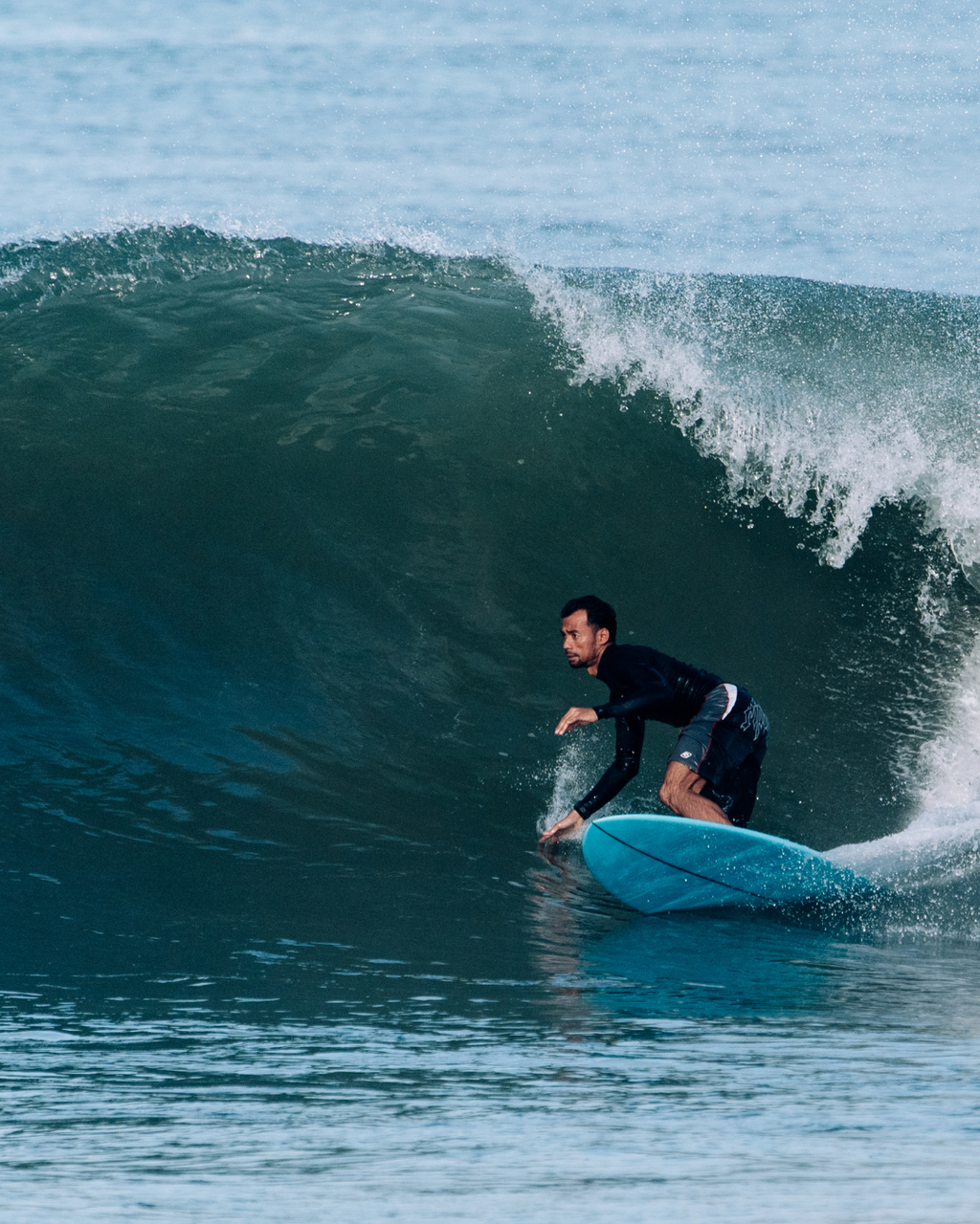 DR Egg | Single Fin