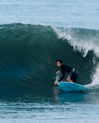 DR Egg | Single Fin