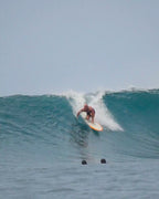 DR Egg | Single Fin