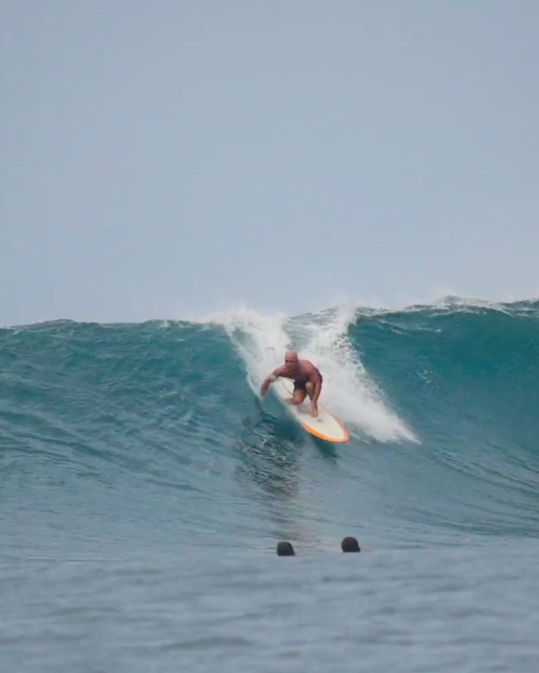 DR Egg | Single Fin